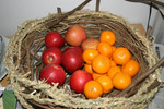 070106IMG_3039.jpg