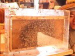 070512_4.jpg