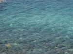 海水