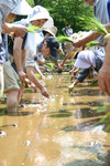 20060521IMG_1972.jpg