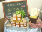 あざみ蜂蜜.jpg