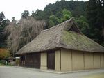 高麗神社2.jpg