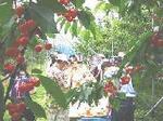 BTH2240206_1B.jpg