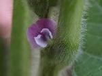 BTH2283850_1B.jpg