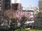 BTH2383064_1B.jpg