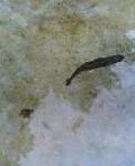 BTH2583256_2B.jpg