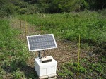 電牧_20070503_99_7.jpg