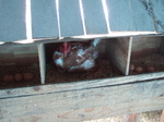 DSCF3644.jpg