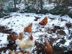 DSCF3646.jpg