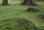FI2363025_2E.jpg