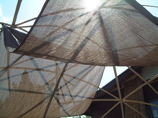 s-DSCF0103.jpg