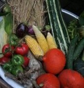 vege1.jpg